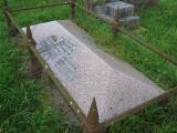 image of grave number 559662